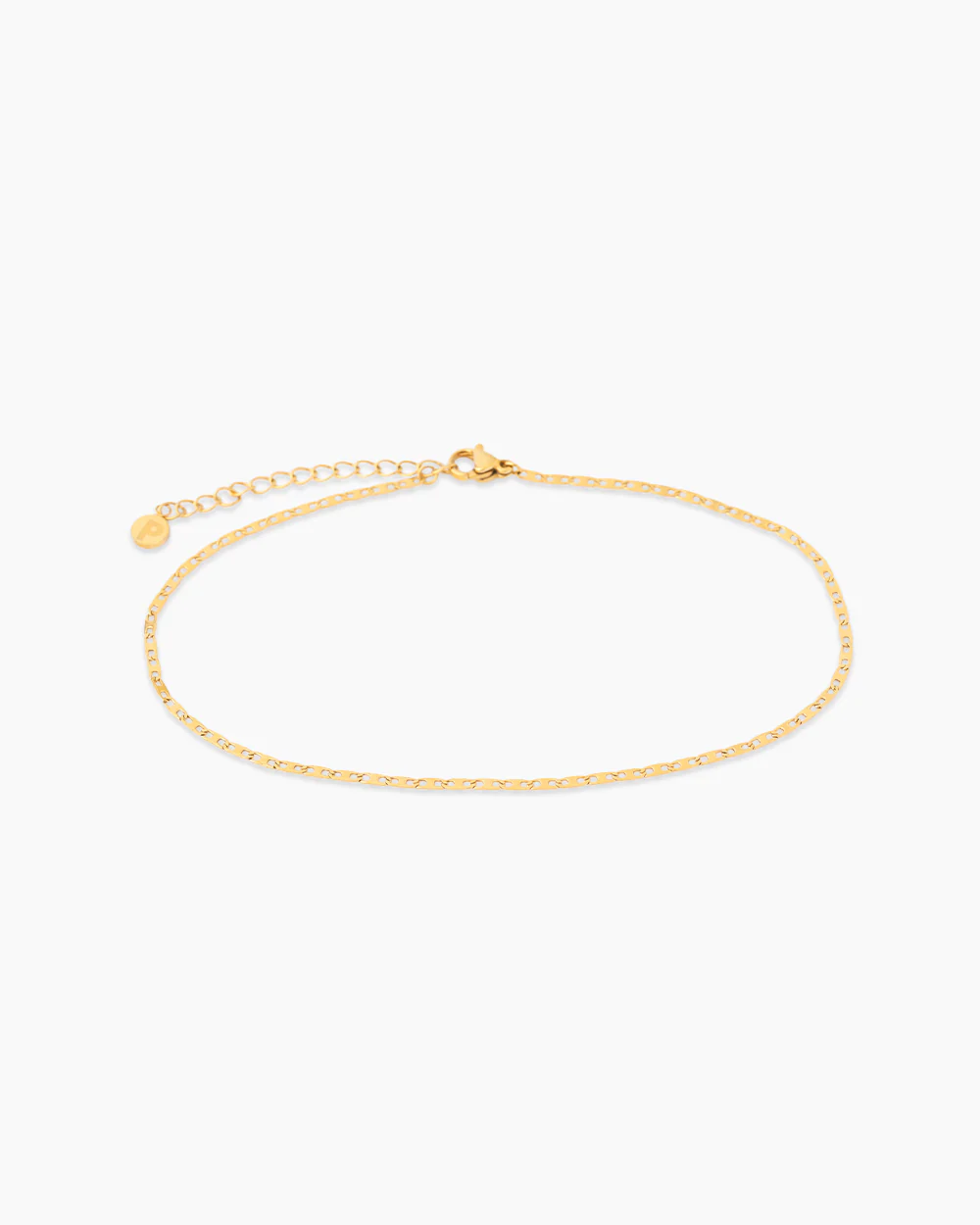 Carter Gold Anklet