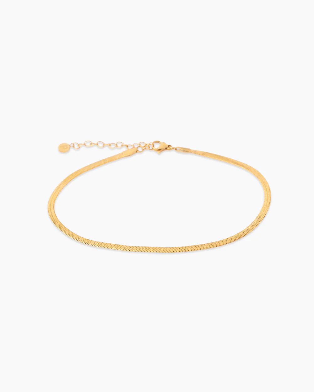 Jaden Gold Anklet