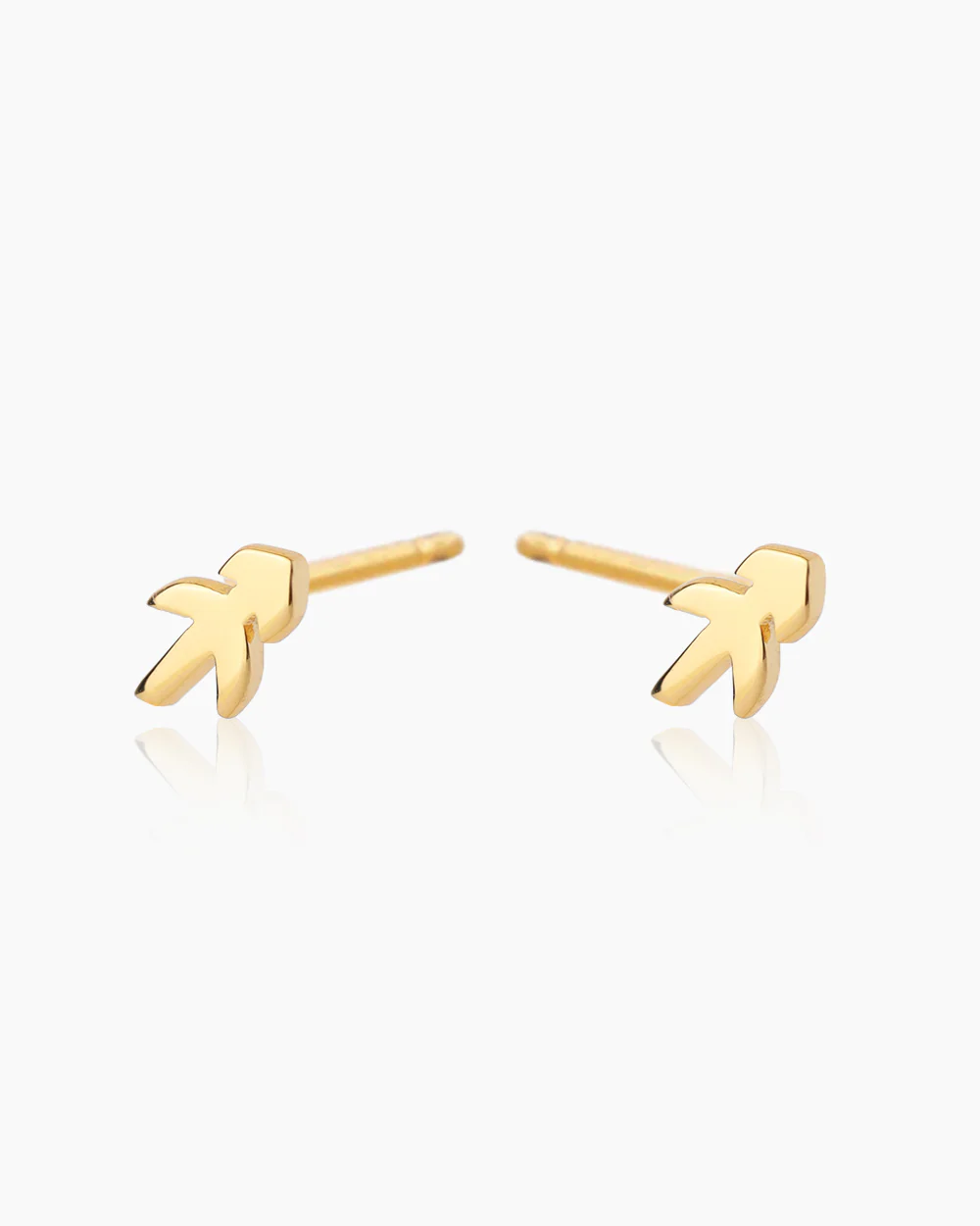 Zodiac Gold Studs - Image 13